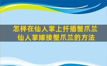 怎样在仙人掌上扦插蟹爪兰 仙人掌嫁接蟹爪兰的方法